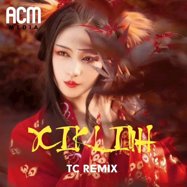 Xik Linh (TC REMIX Beat)