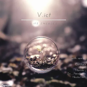 Life Emerges by Vict