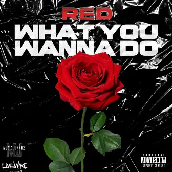 What You Wanna Do by Red