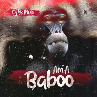 Am a Baboo by Dj Yk Beats