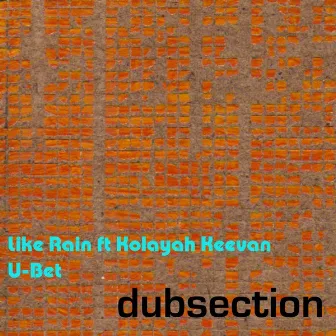 Like Rain by Dubsection