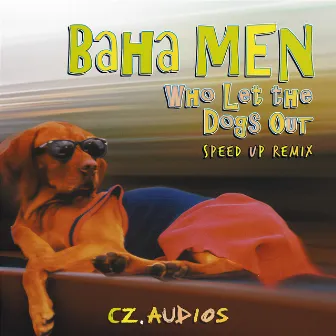 Who Let The Dogs Out (Sped Up) by Baha Men