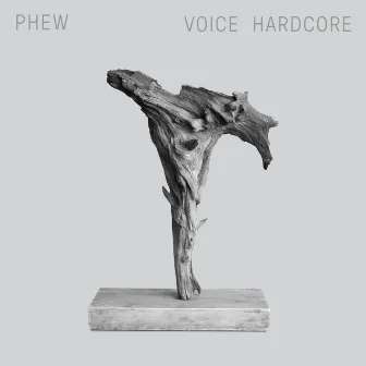 Voice Hardcore by Phew