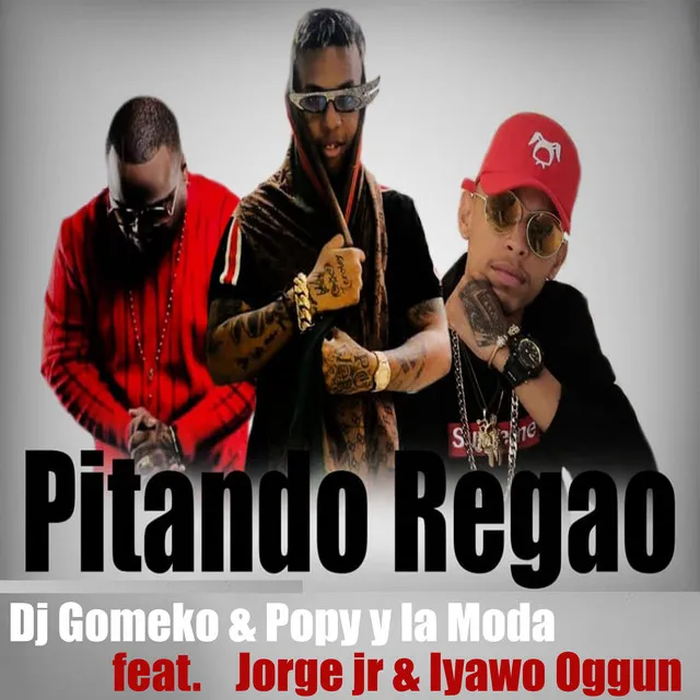 Pitando Regao - Remix