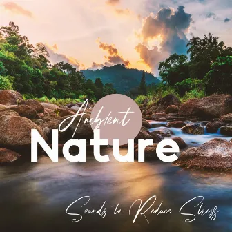 Ambient Nature Sounds to Reduce Stress: Anxiety Relief Mornings (Singing Birds and Meditation Music) by The Flowing Mind