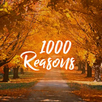 1000 Reasons by Instrumental Worship Project