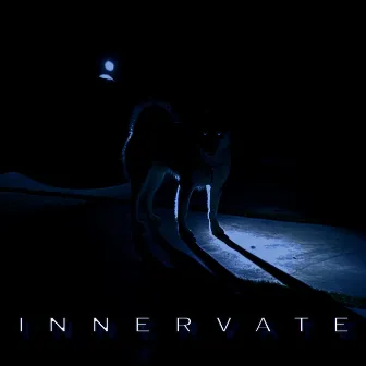 Innervate by jaakob