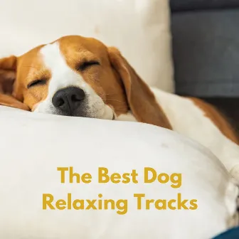 The Best Dog Relaxing Tracks by The Dog Relaxer