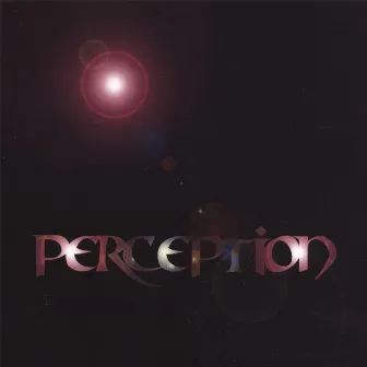 Perception by Perception