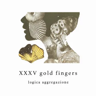 Logica Aggregazione by XXXV Gold Fingers