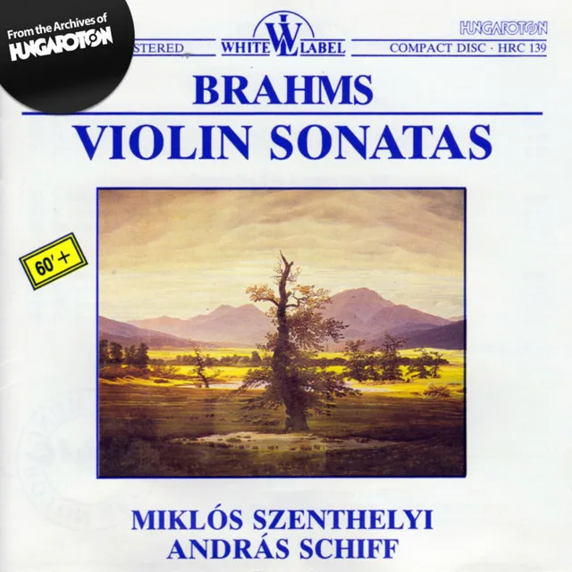 Violin Sonata No. 1 in G Major, Op. 78 "Regen": I. Vivace ma non troppo