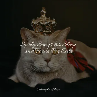 Lovely Songs for Sleep and Focus For Cats by Official Pet Care Collection