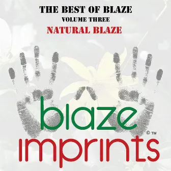 The Best of Blaze, Vol. 3 - Natural Blaze by Blaze