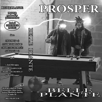 Belle Plante by Prosper