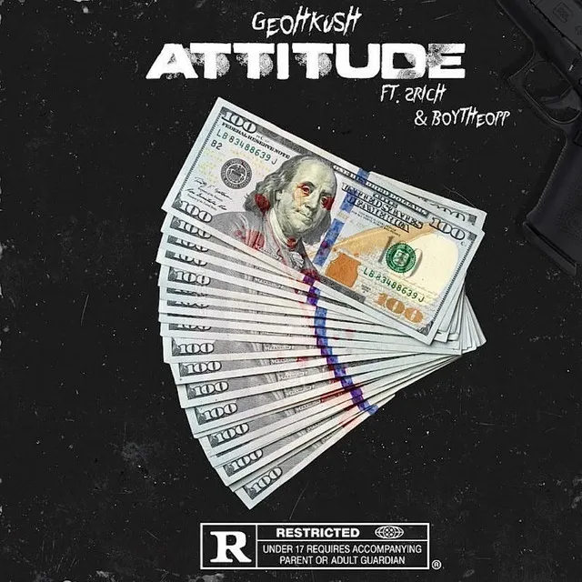 Attitude