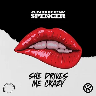 She Drives Me Crazy by Andrew Spencer