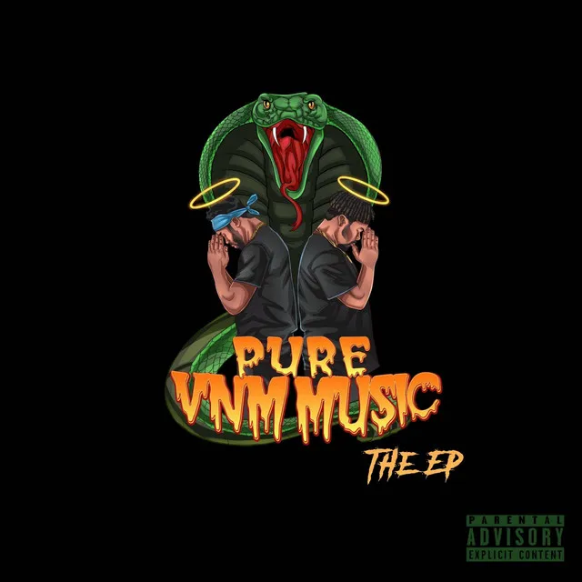 Birth Of Pure VNM