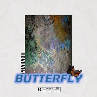 Butterfly by Pharaoh