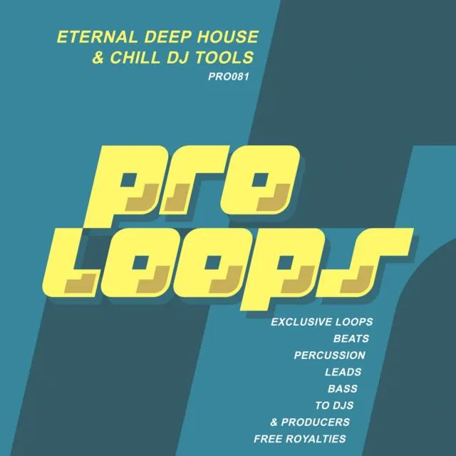 Eternal Deep House & Chill Strings 128 - Tool 16