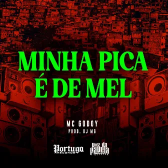 Minha Pica É de Mel by DJ MG