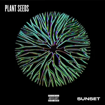 Plant Seeds by Sam Scarfo