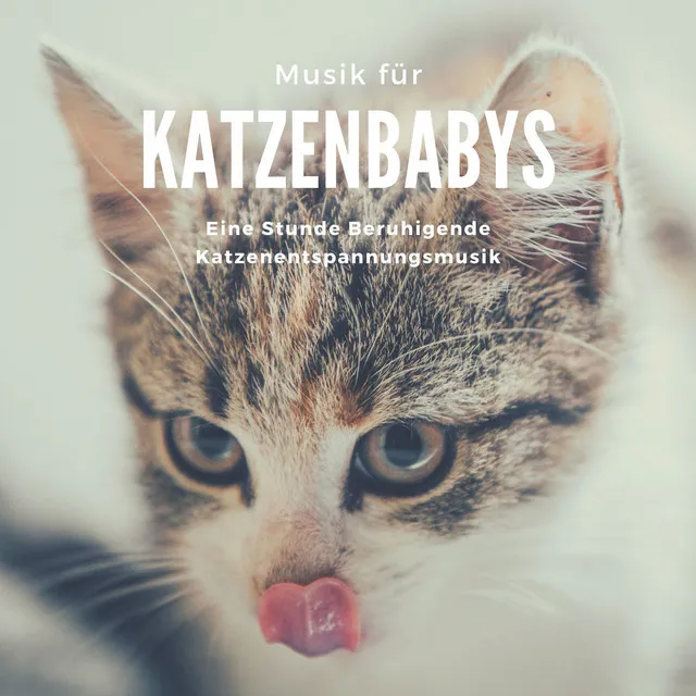 Musik für Haustiere Tiere