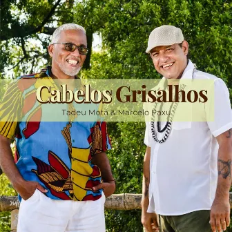 Cabelos Grisalhos by Tadeu Mota