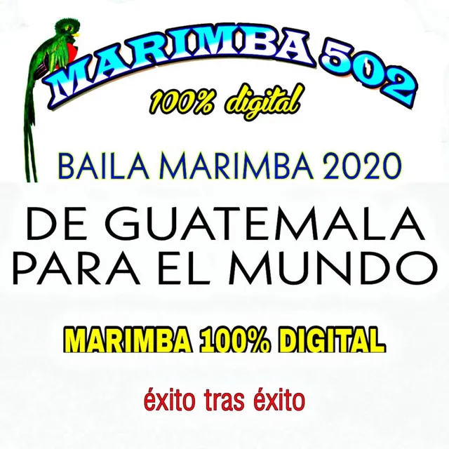 Marimba 502