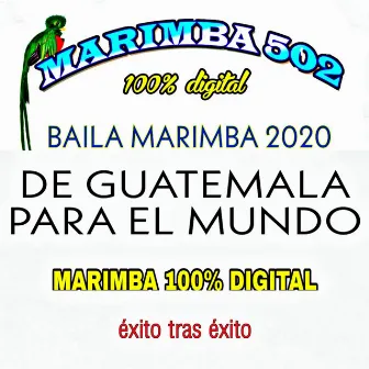 Lo Mejor en Marimba 2020 by Marimba 502