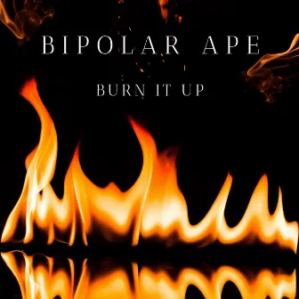 Burn It Up by Bipolar Ape