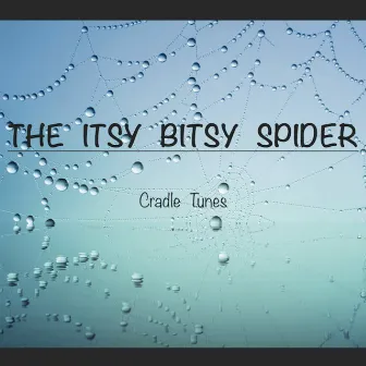 Itsy Bitsy Spider by Cradle Tunes