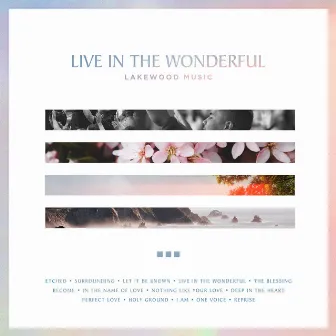 Live in the Wonderful by Lakewood Music