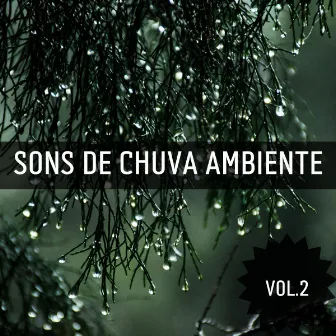 Sons De Chuva Ambiente Vol.2 by Música para Programar