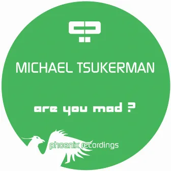 Are You Mad? by Michael Tsukerman