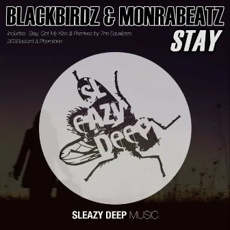 Stay by Black Birdz