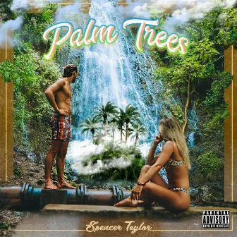 Palm Trees by Spencer Taylor