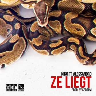 Ze Liegt by Niko