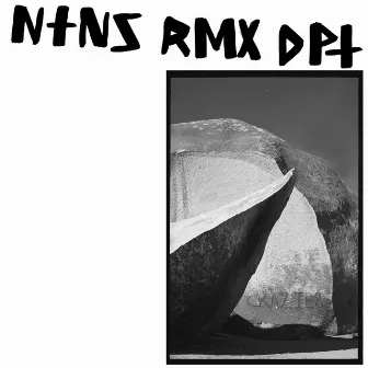 NTNS RMX DPT by Sunny Levine