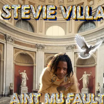 Aint my fault by Stevie Villain