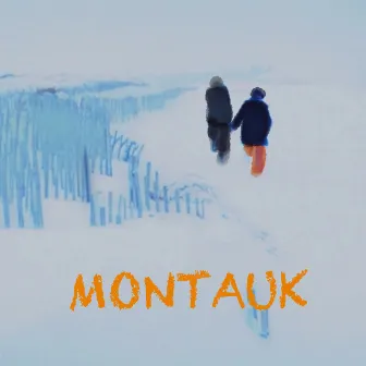 Montauk by Wildlife Project