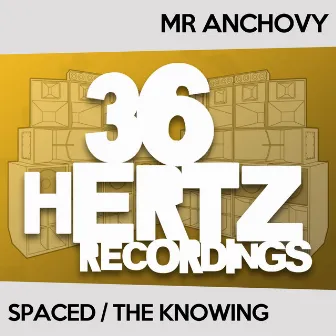 Spaced / The Knowing by Mr Anchovy