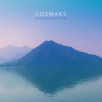 Introspection by Cosmaks