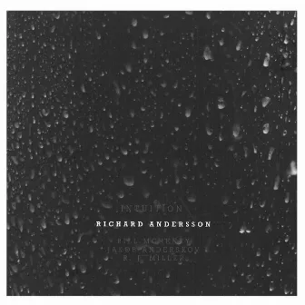 Intuition by Richard Andersson