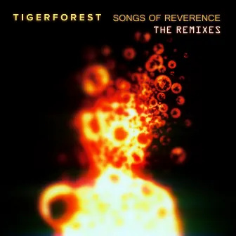 Songs of Reverence (The Remixes) by Tigerforest