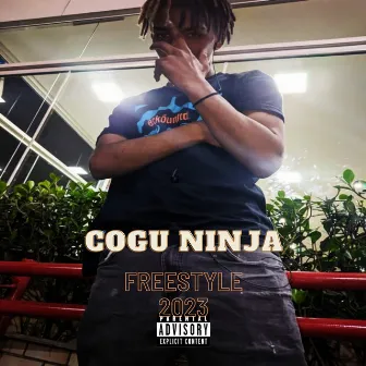 Freestyle 2023 by Cogu Ninja