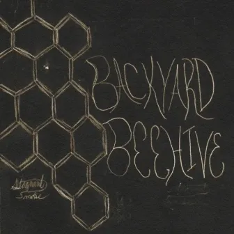 Backyard Beehive by Stagnant Smoke