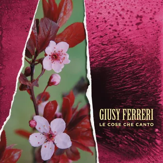 Le cose che canto by Giusy Ferreri