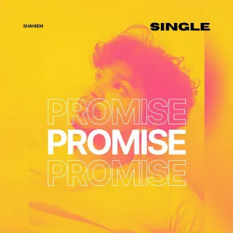 Promise by Shahiem