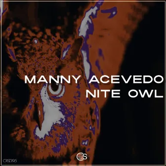 Nite Owl by Manny Acevedo