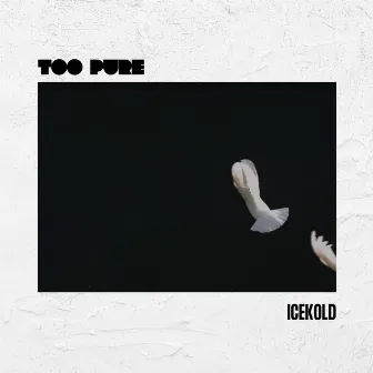 Too Pure by IceKold